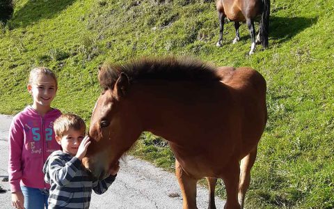 Zwei Kinder streicheln Pony am Kinderbauernhof Steffenegg, Wiese und Pferd im Hintergrund