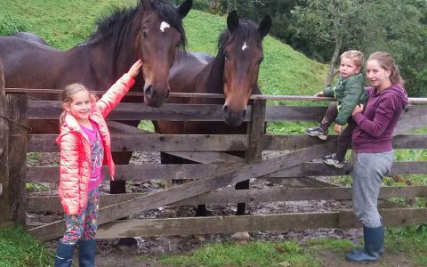 Kinder streicheln Pferde am Zaun, Familienurlaub auf dem Kinderbauernhof Steffenegg in Österreich